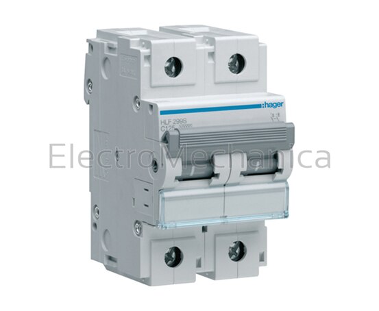 HLF290S 100A 2P 10KA C-CURVE MCB
