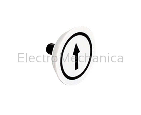 PRTA005MPI SYMBOL DISC - ARROW